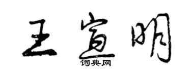 曾慶福王宣明行書個性簽名怎么寫