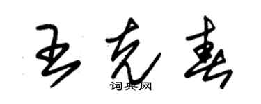 朱錫榮王克春草書個性簽名怎么寫