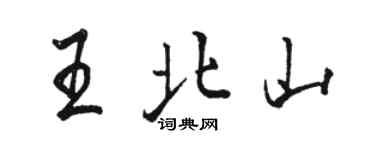 駱恆光王北山行書個性簽名怎么寫