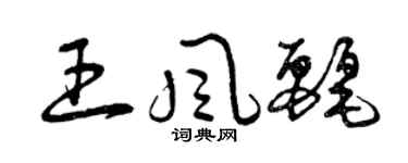 曾慶福王風麗草書個性簽名怎么寫