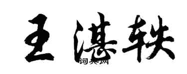 胡問遂王湛軼行書個性簽名怎么寫