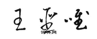 駱恆光王聖唯草書個性簽名怎么寫