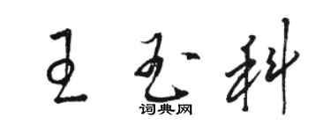 駱恆光王玉科草書個性簽名怎么寫