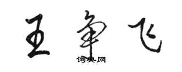 駱恆光王爭飛行書個性簽名怎么寫