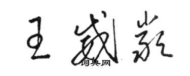 駱恆光王威嚴草書個性簽名怎么寫