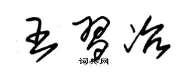 朱錫榮王習冶草書個性簽名怎么寫