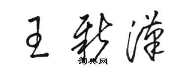 駱恆光王新漢草書個性簽名怎么寫