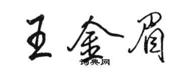 駱恆光王金眉行書個性簽名怎么寫
