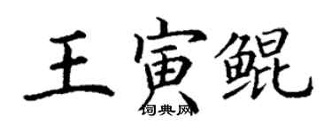 丁謙王寅鯤楷書個性簽名怎么寫