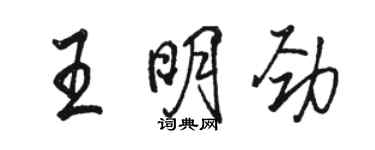 駱恆光王明勁行書個性簽名怎么寫