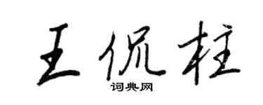 王正良王侃柱行書個性簽名怎么寫