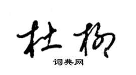 梁錦英杜柳草書個性簽名怎么寫