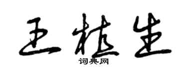 曾慶福王植生草書個性簽名怎么寫