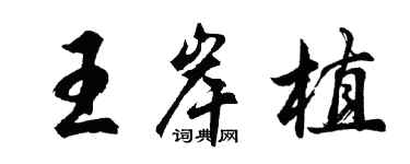 胡問遂王岸植行書個性簽名怎么寫