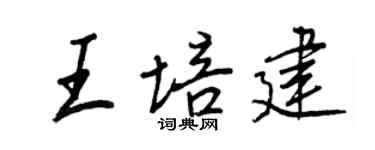 王正良王培建行書個性簽名怎么寫