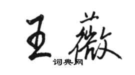 駱恆光王薇行書個性簽名怎么寫