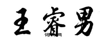 胡問遂王睿男行書個性簽名怎么寫