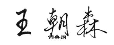 駱恆光王朝森行書個性簽名怎么寫