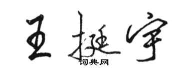 駱恆光王挺宇行書個性簽名怎么寫