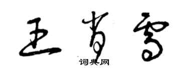 曾慶福王肖雪草書個性簽名怎么寫