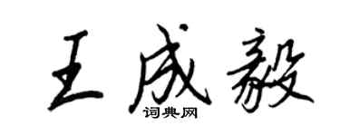 王正良王成毅行書個性簽名怎么寫