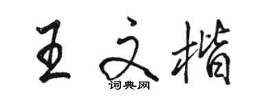 駱恆光王文楷行書個性簽名怎么寫