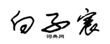 朱錫榮向子宸草書個性簽名怎么寫