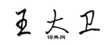 駱恆光王大衛行書個性簽名怎么寫