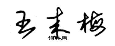 朱錫榮王來梅草書個性簽名怎么寫