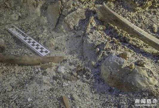 古希臘驚現全球最老電腦 2000年前的人骨