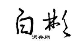 曾慶福白彬草書個性簽名怎么寫