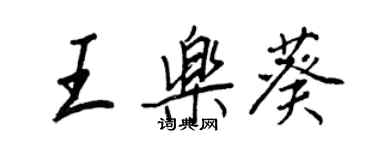 王正良王樂葵行書個性簽名怎么寫