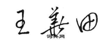 駱恆光王華田草書個性簽名怎么寫