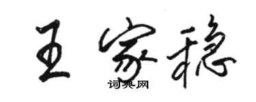 駱恆光王家穩行書個性簽名怎么寫