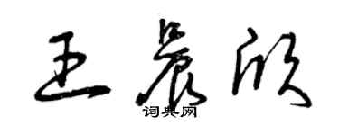 曾慶福王晨欣草書個性簽名怎么寫