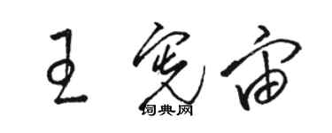 駱恆光王憲宙草書個性簽名怎么寫