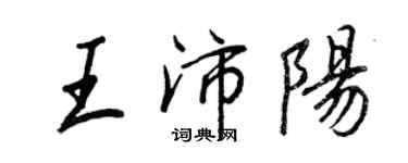 王正良王沛陽行書個性簽名怎么寫