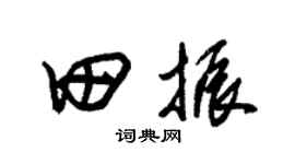 朱錫榮田振草書個性簽名怎么寫