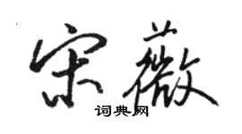 駱恆光宋薇行書個性簽名怎么寫