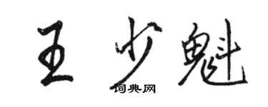 駱恆光王少魁行書個性簽名怎么寫