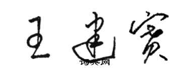 駱恆光王建賽草書個性簽名怎么寫