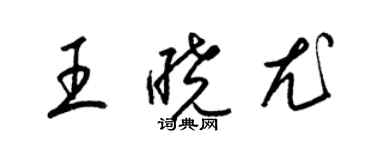 梁錦英王曉尤草書個性簽名怎么寫