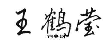 駱恆光王鶴瑩行書個性簽名怎么寫