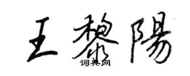 王正良王黎陽行書個性簽名怎么寫