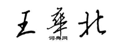 王正良王華北行書個性簽名怎么寫
