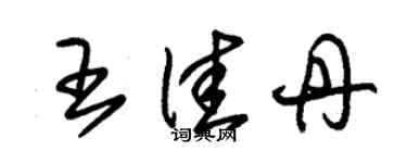 朱錫榮王佳丹草書個性簽名怎么寫