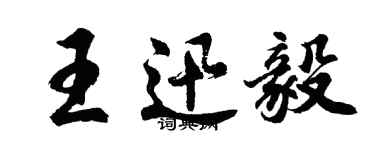 胡問遂王迅毅行書個性簽名怎么寫