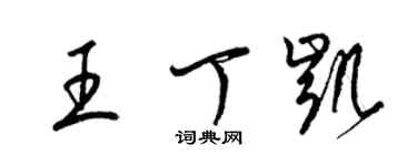 梁錦英王丁凱草書個性簽名怎么寫