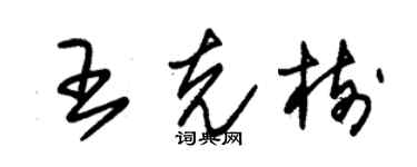 朱錫榮王克樹草書個性簽名怎么寫