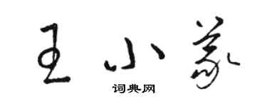 駱恆光王小義草書個性簽名怎么寫